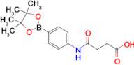 N-[4-(4,4,5,5-Tetramethyl-1,3,2-dioxaborolan-2-yl)-phenyl]-succinamic acid