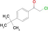 1-(4-tert-Butylphenyl)-2-chloroethanone