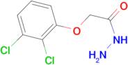 2,3-Dichlorophenoxyacetic acid hydrazide