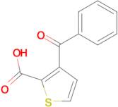 3-Benzoyl-2-thiophenecarboxylic acid