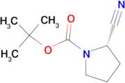 (S)-1-N-Boc-2-Cyano-pyrrolidine