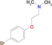 4-[2-N,N-Dimethylaminoethoxy]bromobenzene