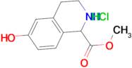 (+/-)-7-Hydroxy-1,2,3,4-tetrahydro-3-isoquinoline-4-carboxylic acid methyl ester hydrochloride