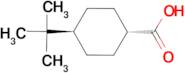 4-tert-Butycyclohexanecarboxylic acid