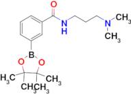 N-(3-Dimethylaminopropyl)-3-(4,4,5,5-tetramethyl-1,3,2-dioxaborolan-2-yl)benzamide