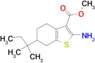 2-Amino-6-(1,1-dimethylpropyl)-4,5,6,7-tetrahydrobenzo[b]thiophene-3-carboxylic acid methyl ester