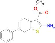 2-Amino-6-phenyl-4,5,6,7-tetrahydrobenzo[b]-thiophene-3-carboxylic acid methyl ester