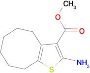 2-Amino-4,5,6,7,8,9-hexahydrocycloocta[b]-thiophene-3-carboxylic acid methyl ester