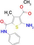 2-Amino-4-methyl-5-phenylcarbamoylthiophene-3-carboxylic acid methyl ester