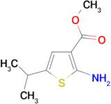 2-Amino-5-isopropyl-thiophene-3-carboxylic acidmethyl ester