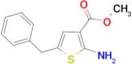 2-Amino-5-benzylthiophene-3-carboxylic acidmethyl ester