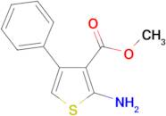 2-Amino-4-phenyl-thiophene-3-carboxylic acidmethyl ester