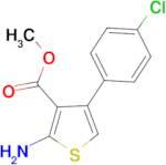 2-Amino-4-(4-chlorophenyl)-thiophene-3-carboxylic acid methyl ester