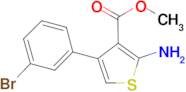 2-Amino-4-(3-bromophenyl)thiophene-3-carboxylic acid methyl ester