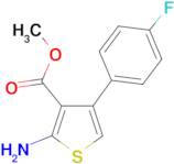 2-Amino-4-(4-fluorophenyl)thiophene-3-carboxylic acid methyl ester