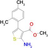 2-Amino-4-(2,4-dimethylphenyl)thiophene-3-carboxylic acid methyl ester