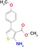 2-Amino-4-(4-methoxy-phenyl)thiophene-3-carboxylic acid methyl ester