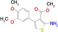 2-Amino-4-(3,4-dimethoxyphenyl)thiophene-3-carboxylic acid methyl ester