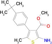 2-Amino-4-(4-tert-butylphenyl)-5-methylthiophene-3-carboxylic acid methyl ester