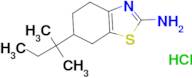 6-(1,1-Dimethyl-propyl)-4,5,6,7-tetrahydro-benzothiazol-2-ylamine hydrochloride