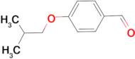 4-Isobutoxybenzaldehyde