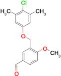 3-(4-Chloro-3,5-dimethylphenoxymethyl)-4-methoxy-benzaldehyde