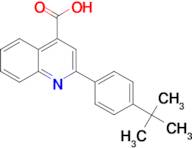 2-(4-tert-Butyl-phenyl)-quinoline-4-carboxylic acid