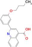 2-(3-Butoxy-phenyl)-quinoline-4-carboxylic acid