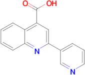 2-Pyridin-3-ylquinoline-4-carboxylic acid