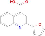 2-Furan-2-ylquinoline-4-carboxylic acid