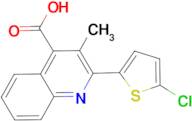 2-(5-Chlorothiophen-2-yl)-3-methylquinoline-4-carboxylic acid