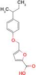 5-(4-sec-Butylphenoxymethyl)furan-2-carboxylic acid