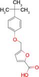 5-(4-tert-Butylphenoxymethyl)furan-2-carboxylic acid