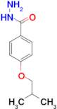 4-Isobutoxy-benzoic acid hydrazide