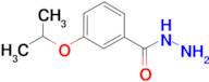 3-iso-Propoxy-benzoic acid hydrazide