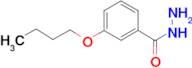 3-Butoxy-benzoic acid hydrazide