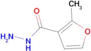 2-Methyl-furan-3-carboxylic acid hydrazide