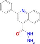 2-Phenylquinoline-4-carboxylic acid hydrazide