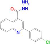 2-(4-Chlorophenyl)-quinoline-4-carboxylic acidhydrazide