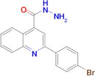 2-(4-Bromophenyl)quinoline-4-carboxylic acid hydrazide