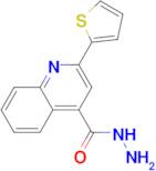 2-Thiophen-2-ylquinoline-4-carboxylic acidhydrazide