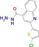 2-(5-Chlorothiophen-2-yl)quinoline-4-carboxylic acid hydrazide