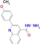 2-(4-Methoxyphenyl)quinoline-4-carboxylic acidhydrazide