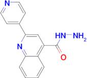 2-Pyridin-4-ylquinoline-4-carboxylic acidhydrazide