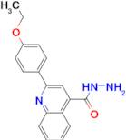 2-(4-Ethoxyphenyl)quinoline-4-carboxylic acidhydrazide