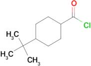 4-tert-Butylcyclohexanecarbonyl chloride