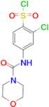 2-Chloro-4-[(morpholine-4-carbonyl)-amino]-benzenesulfonyl chloride