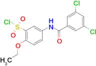 5-(3,5-Dichlorobenzoylamino)-2-ethoxy-benzenesulfonyl chloride