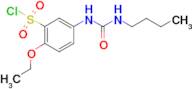 5-(3-Butyl-ureido)-2-ethoxybenzenesulfonylchloride