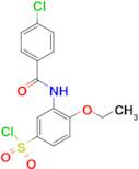 3-(4-Chlorobenzoylamino)-4-ethoxybenzenesulfonyl chloride